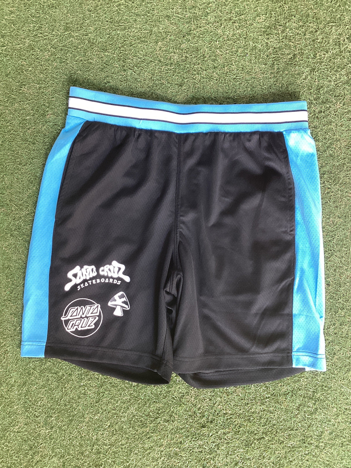 Santa Cruz winkowski ocho mesh shorts